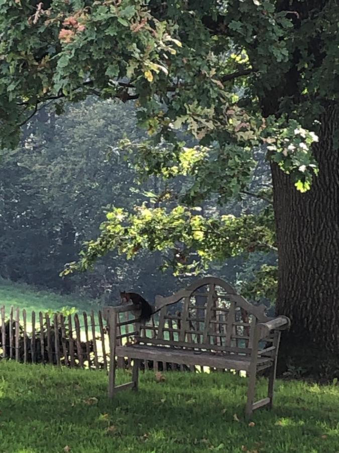 Gartenblick Leichlingen Buitenkant foto