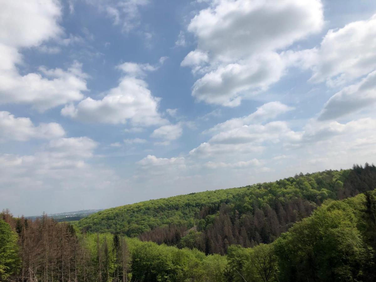 Gartenblick Leichlingen Buitenkant foto