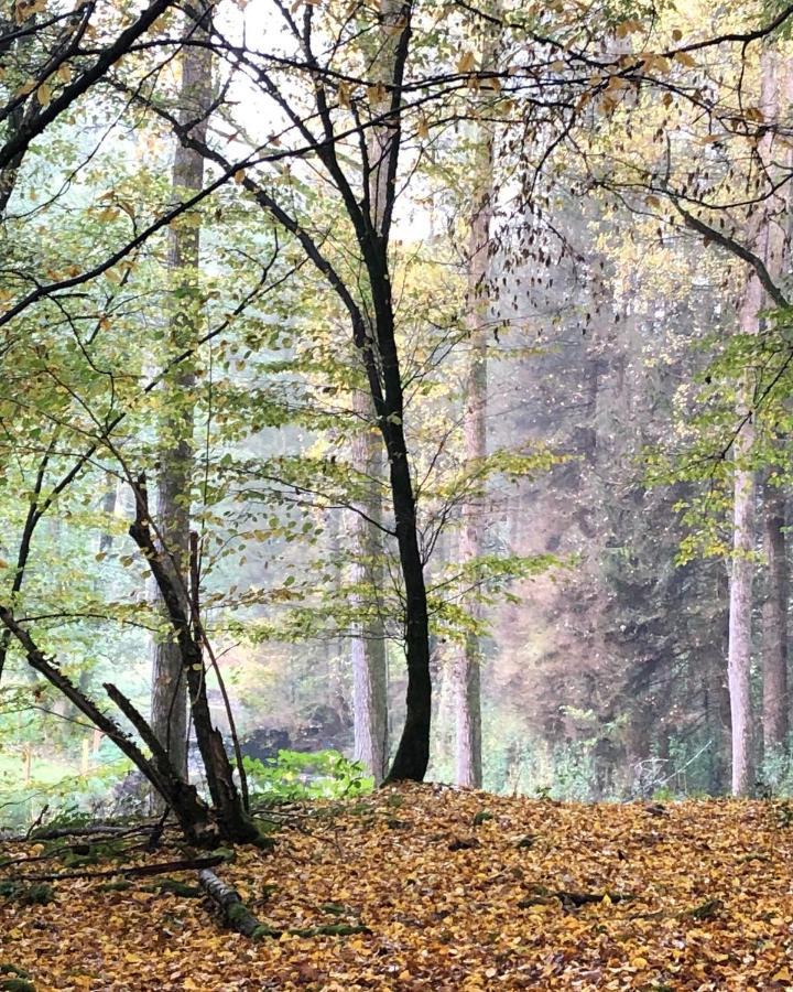 Gartenblick Leichlingen Buitenkant foto