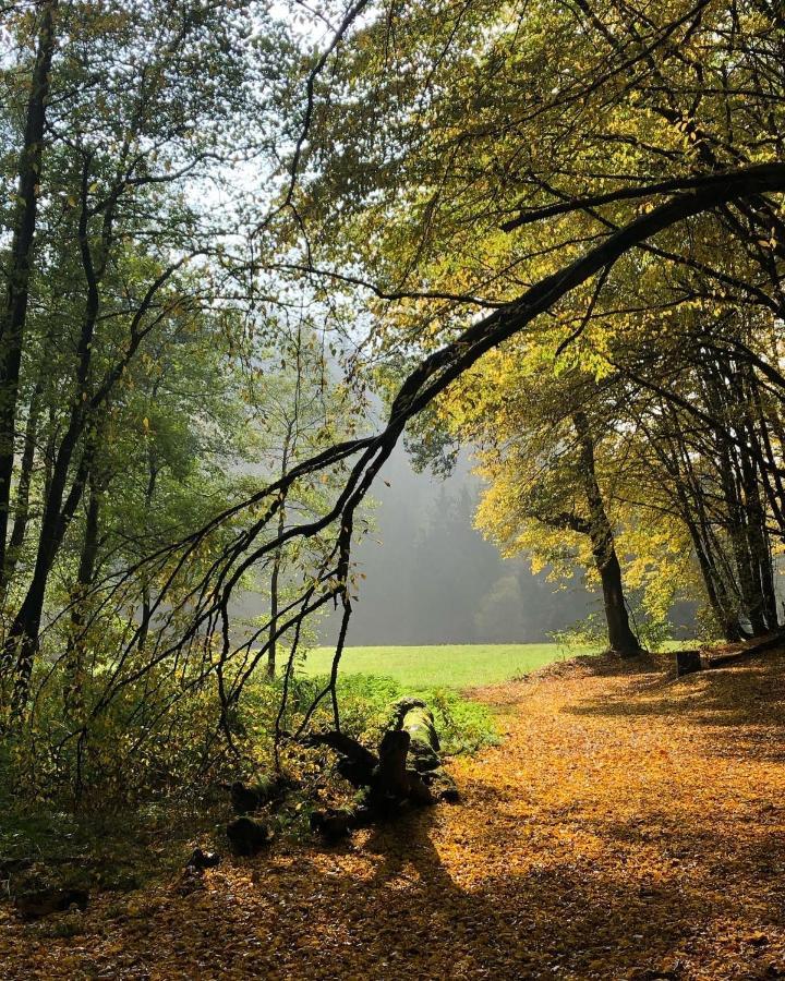 Gartenblick Leichlingen Buitenkant foto