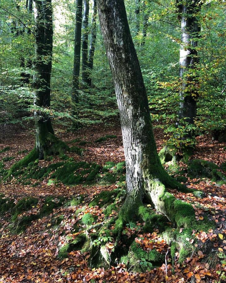 Gartenblick Leichlingen Buitenkant foto