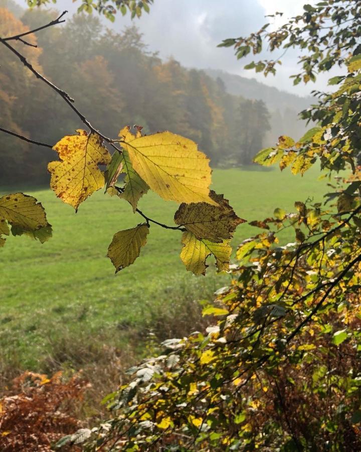 Gartenblick Leichlingen Buitenkant foto