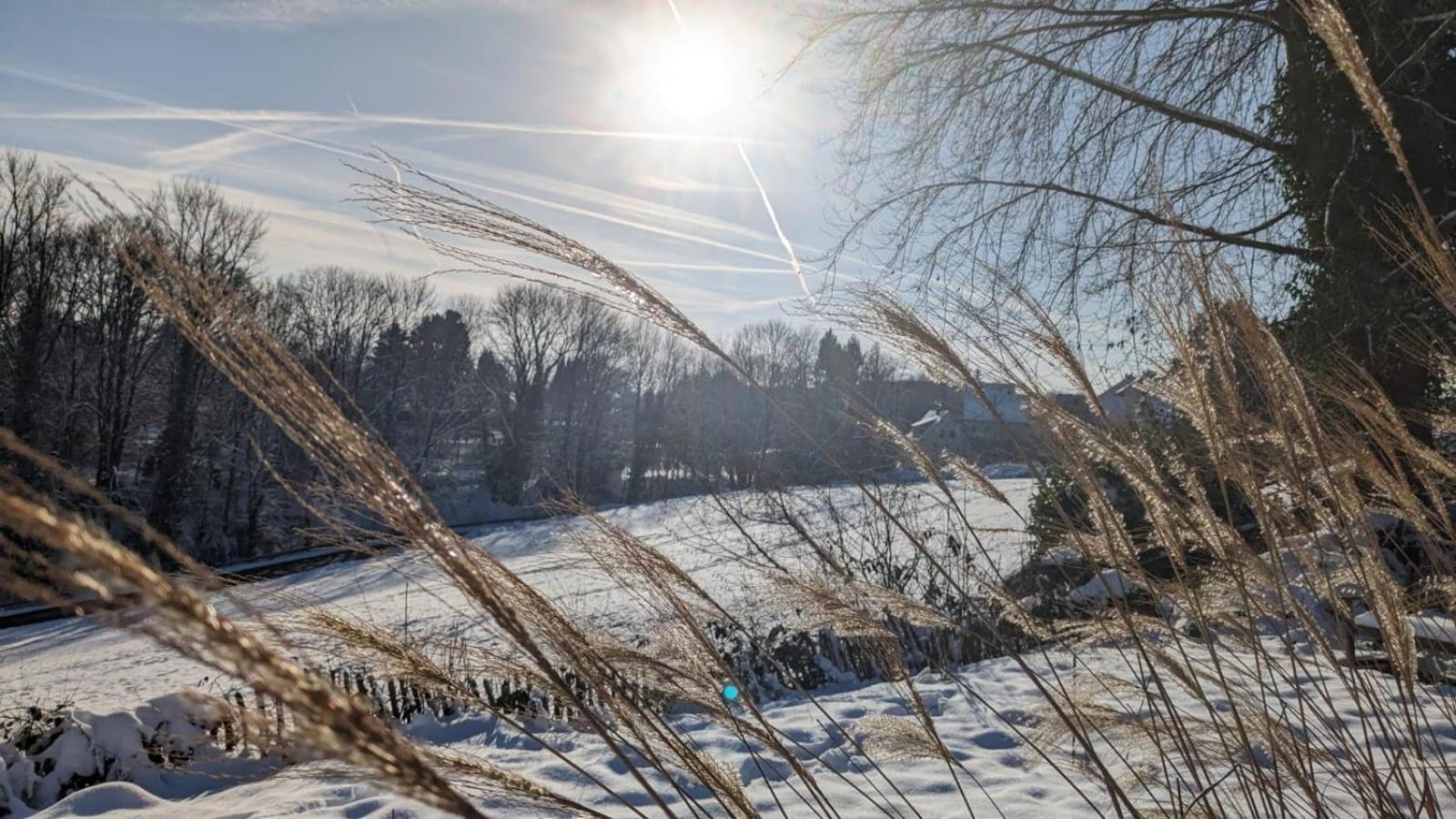 Gartenblick Leichlingen Buitenkant foto