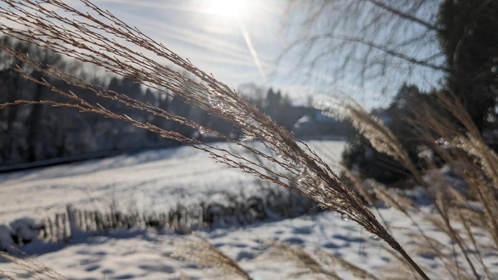 Gartenblick Leichlingen Buitenkant foto