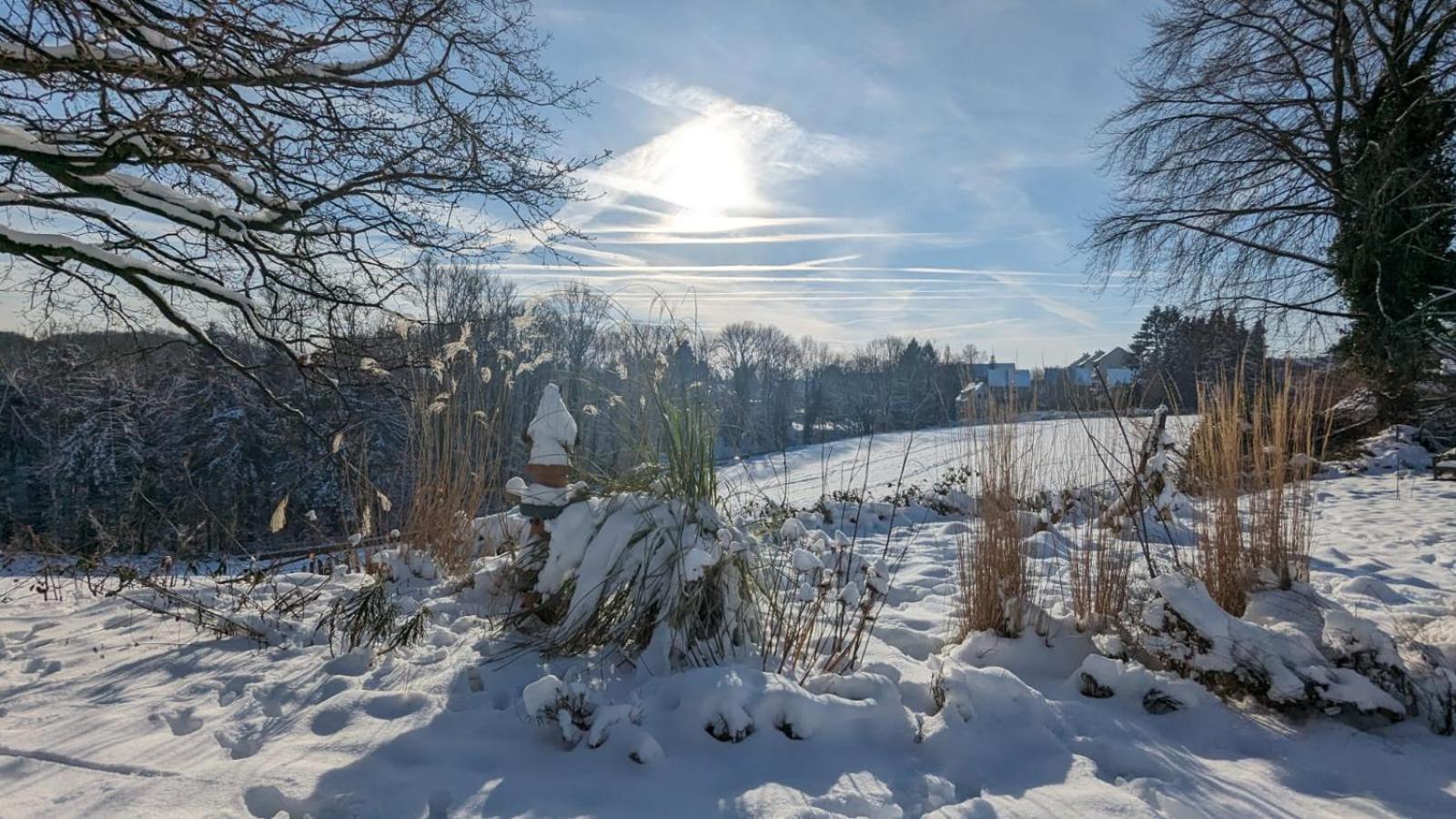 Gartenblick Leichlingen Buitenkant foto