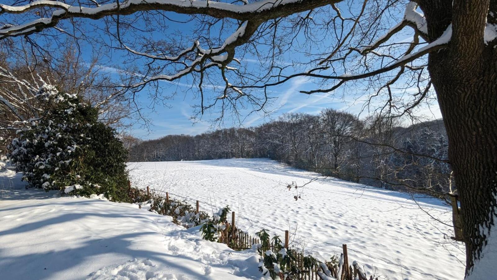 Gartenblick Leichlingen Buitenkant foto