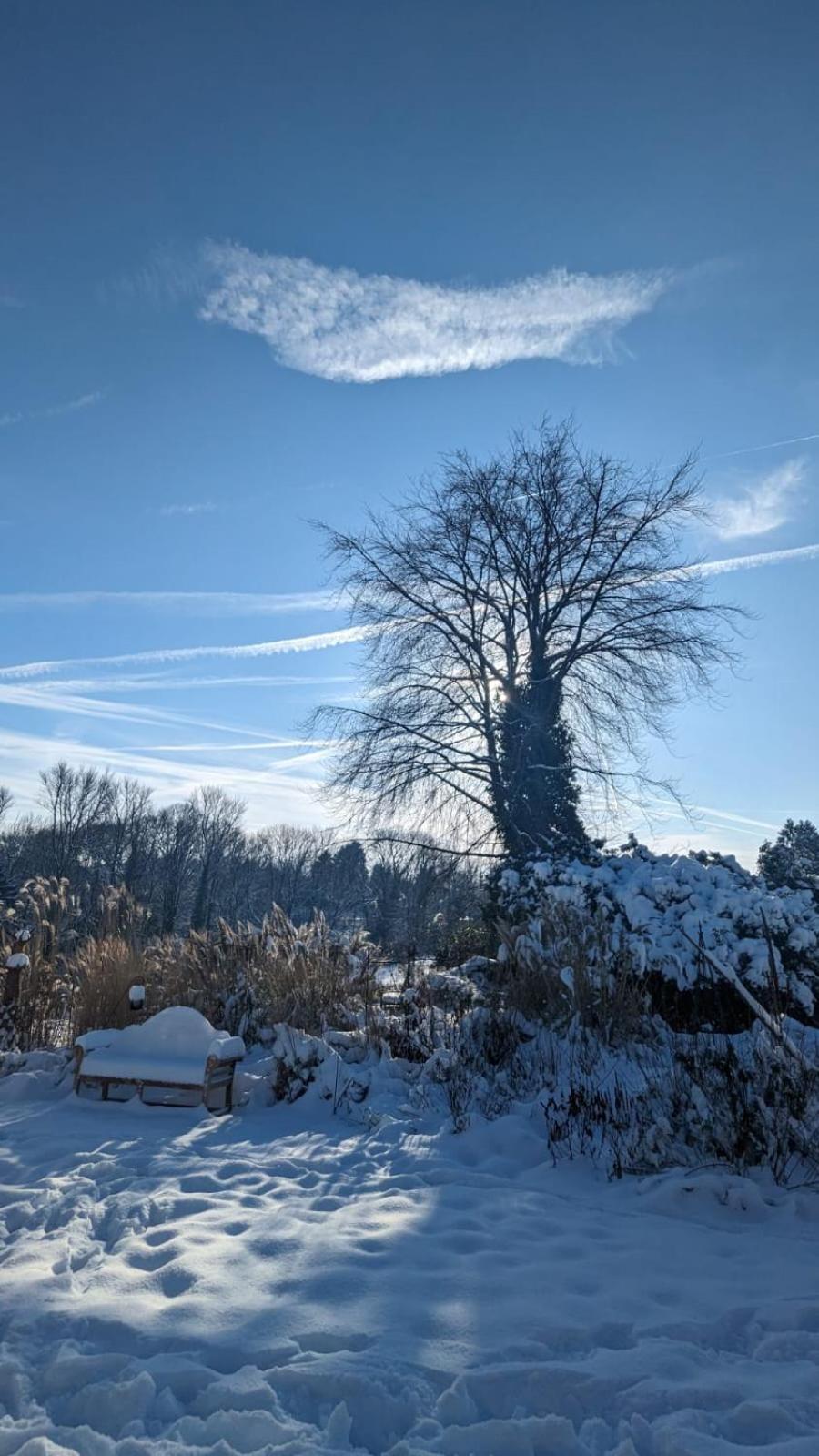 Gartenblick Leichlingen Buitenkant foto