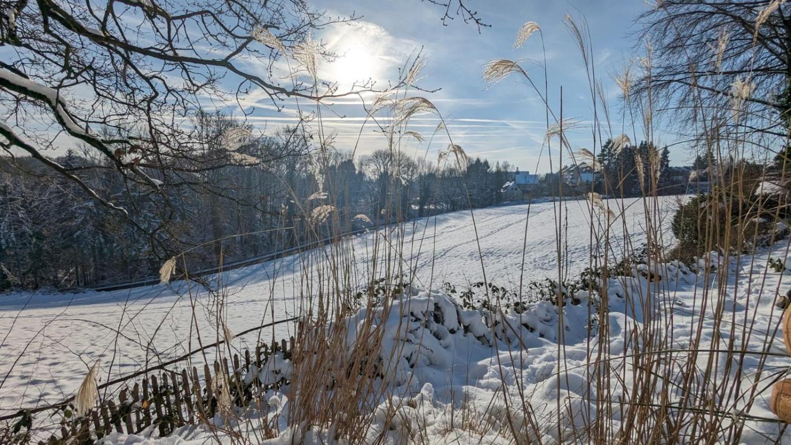 Gartenblick Leichlingen Buitenkant foto