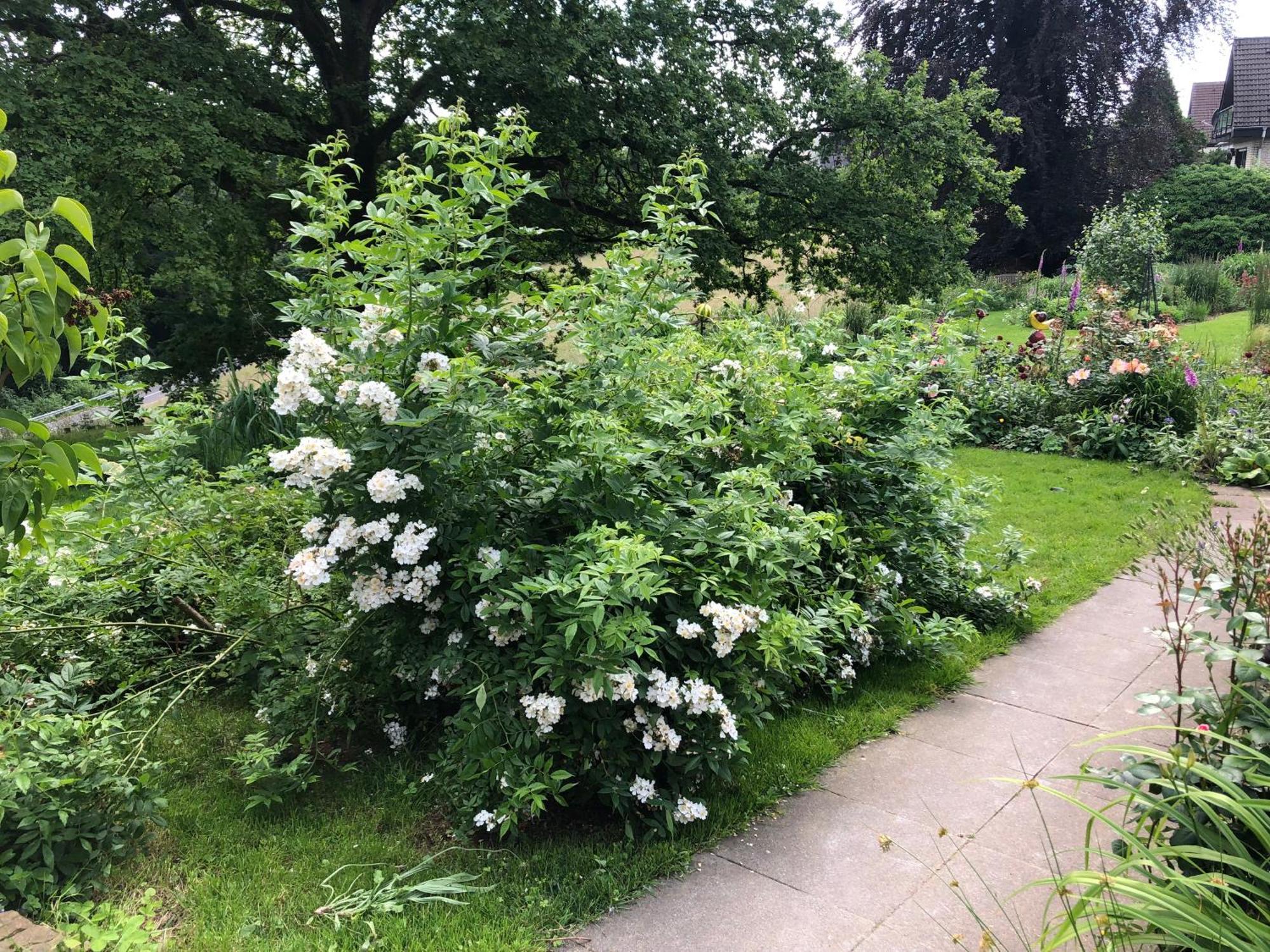 Gartenblick Leichlingen Buitenkant foto