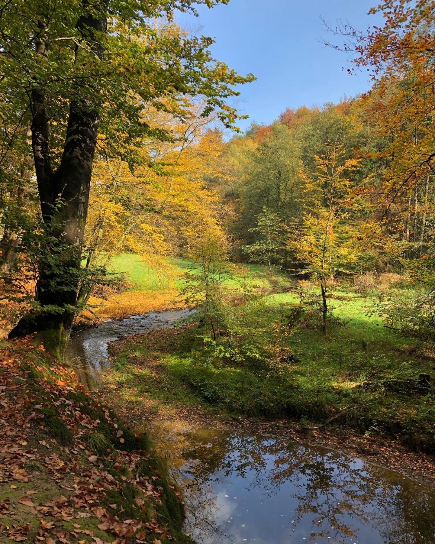 Gartenblick Leichlingen Buitenkant foto