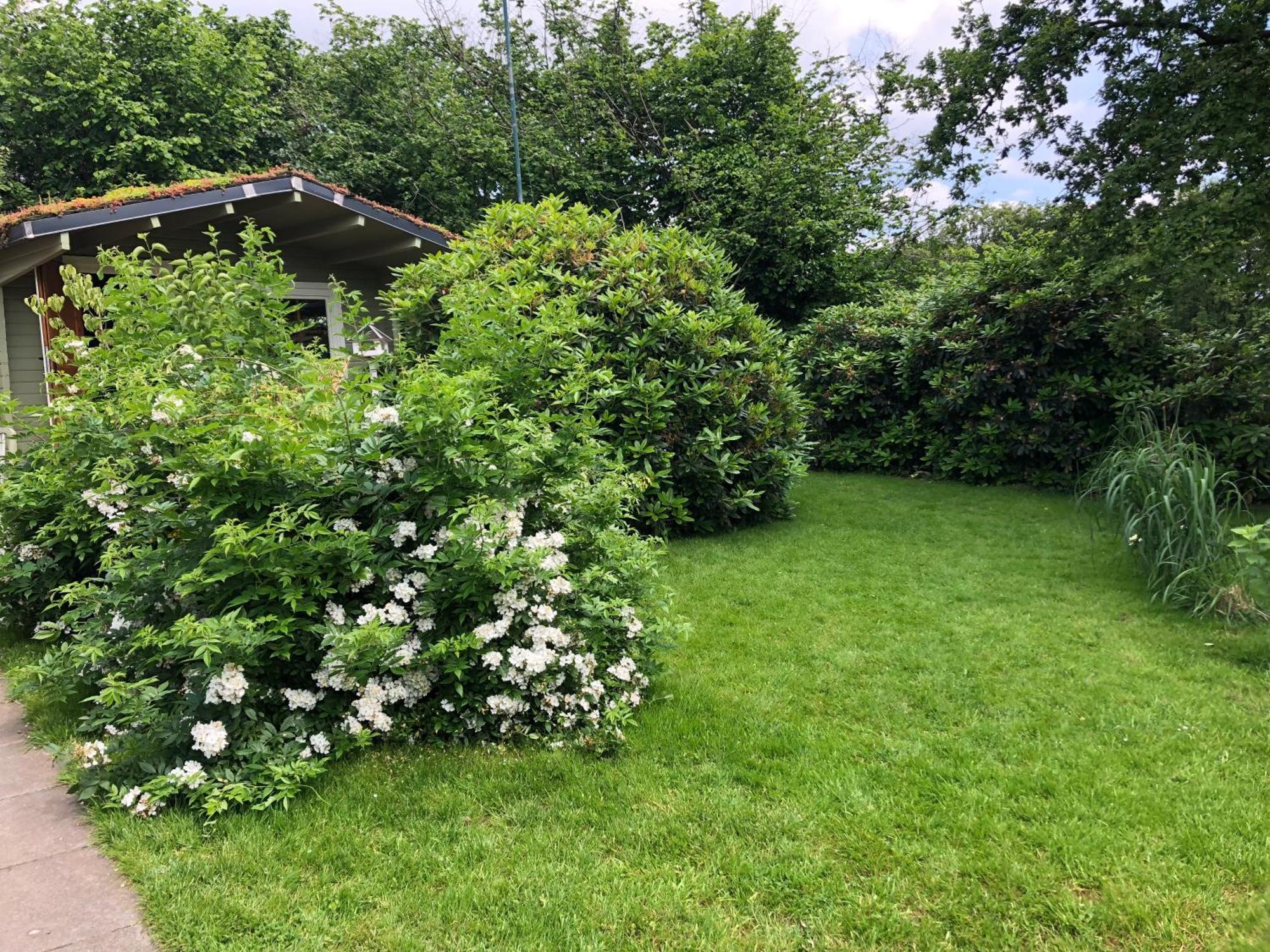 Gartenblick Leichlingen Buitenkant foto