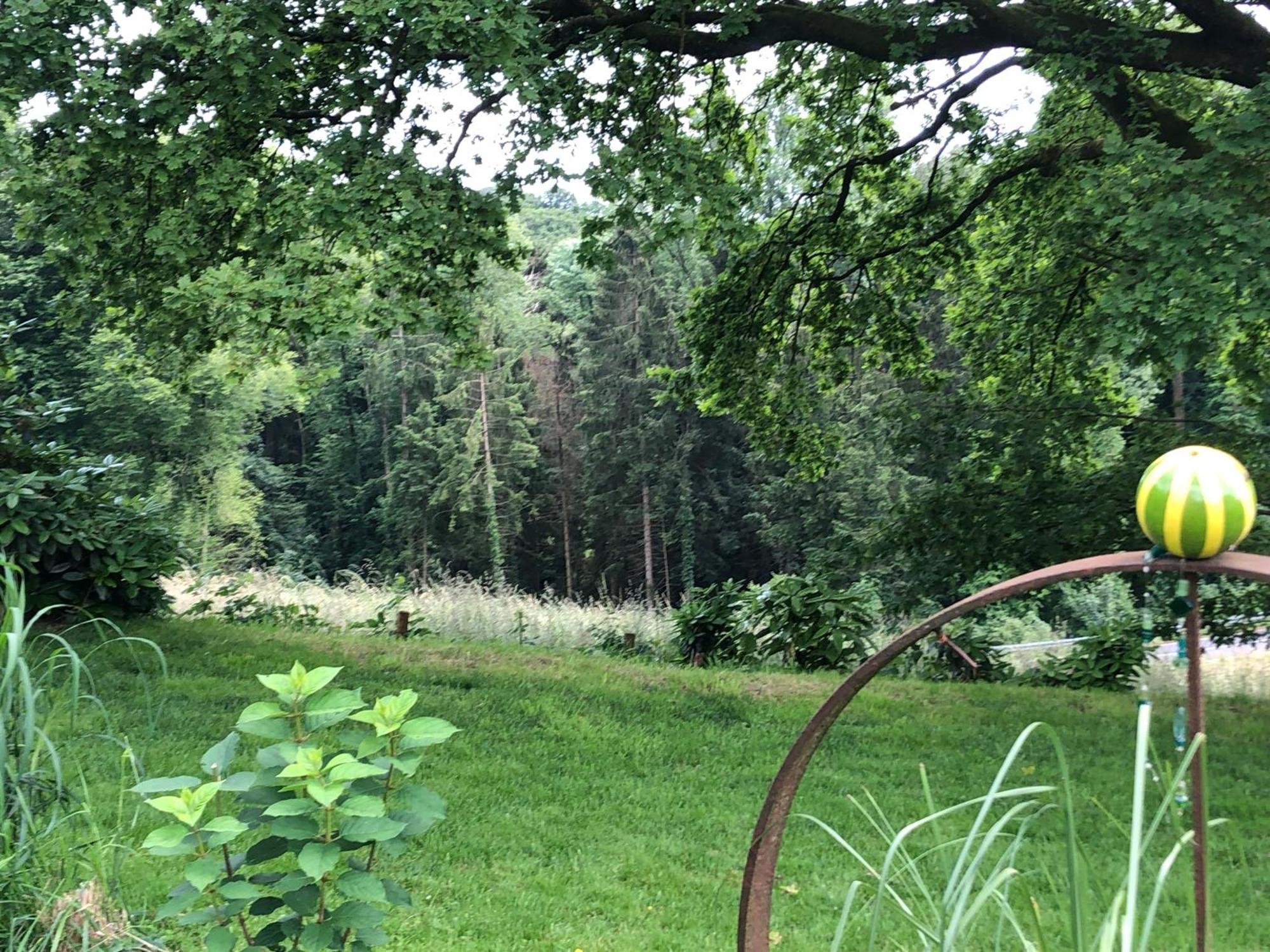 Gartenblick Leichlingen Buitenkant foto